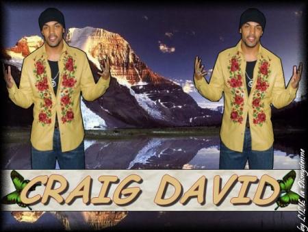 Montage By M